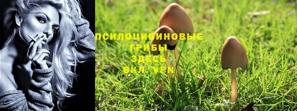 молекула духа Баксан